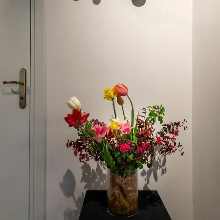 Duomo5 Flat - Centro Storico דירה ויצ'נצה